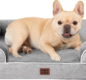 best dog beds