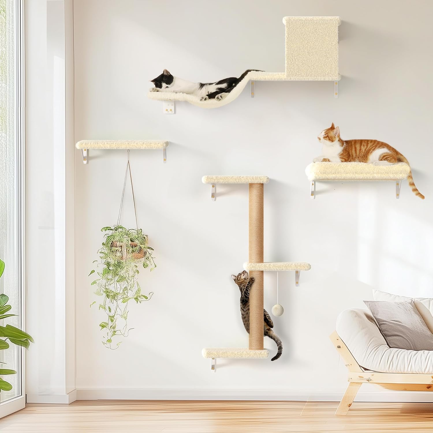 cat climbing furniture