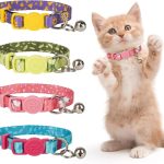 cat collar with bell