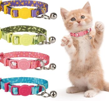 cat collar with bell