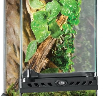 terrarium glass tank