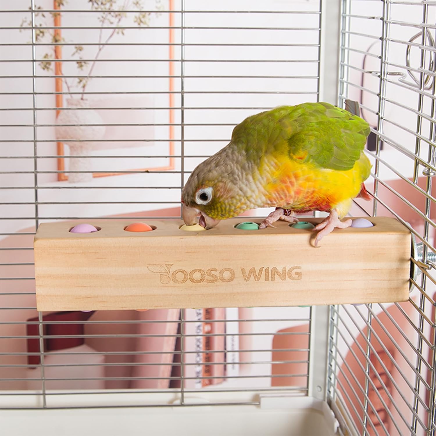 bird toys amazon best