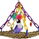 bird swing toys