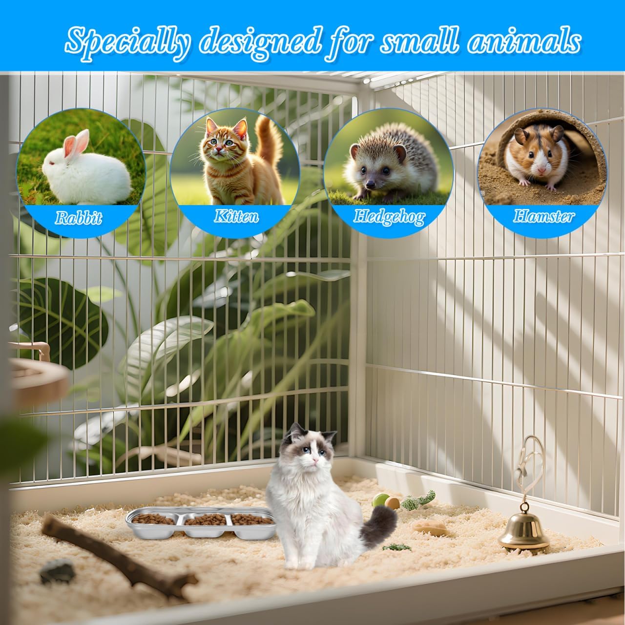 Compartment Pet Tray Food Bowls: 2pcs Stainless Steel Cat Bowl Divided Pet Dishes Bowls for Kitten Small Dogs Food Water Feeder - Happypetzone.online - Image 8