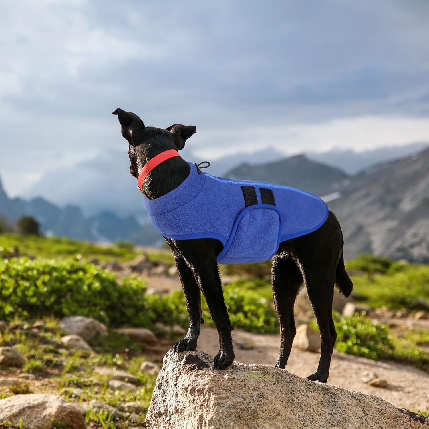 Queenmore Small Dog Sweater, Soft Fleece Vest Pullover Dog Jacket with Leash Hole, Warm Winter Dog Coats Cold Weather Doggy Dachshund Sweaters for Small Dogs Cats Boy or Girl (Blue, XS) - Happypetzone.online - Image 5