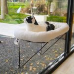 cat hammock window