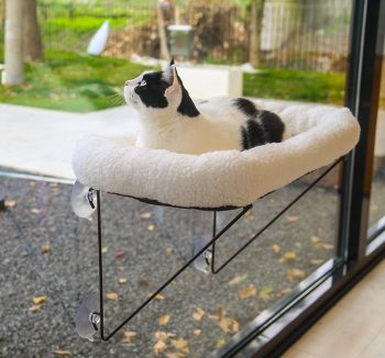 cat hammock window