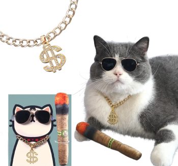 cat accessories fashion