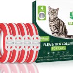 cat tick prevention