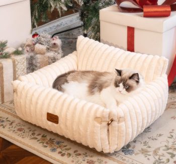cat sofa for cats