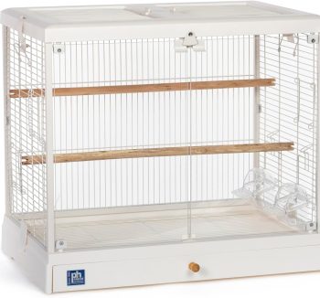 cheap bird cage large