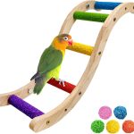 bird ladder perch
