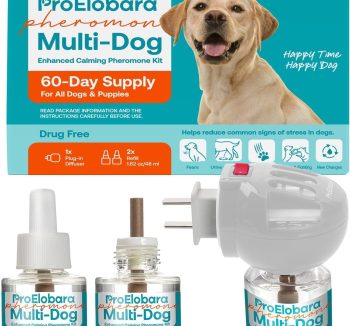 dog calming supplement