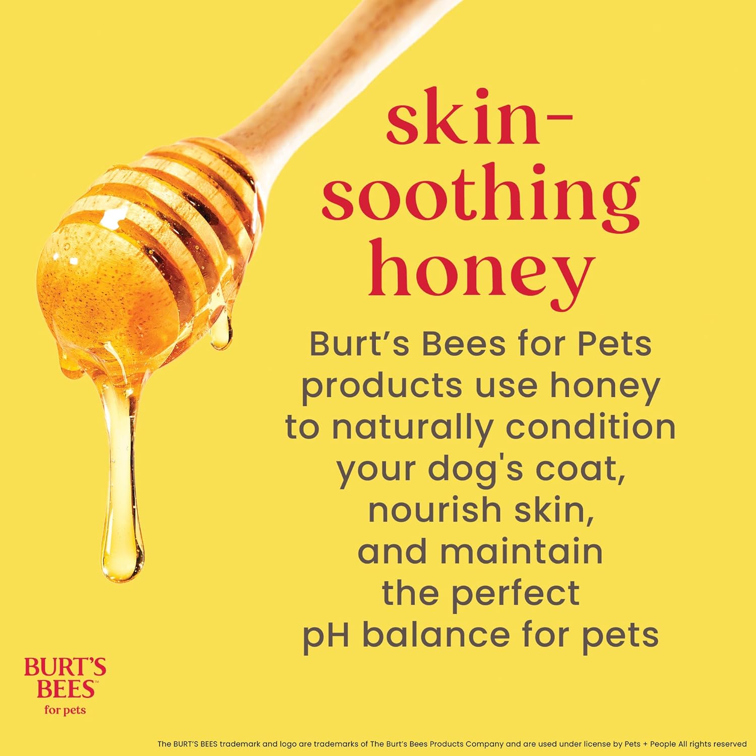 Burt's Bees for Pets Natural Ear Cleaner for Dogs with Peppermint and Witch Hazel, 99.7% Natural Origin Formula, Dog Ear Cleaning Solution for Dogs and Puppies, 4 Fl Oz - 2 Pack - Happypetzone.online - Image 3