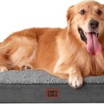 dog bed memory foam