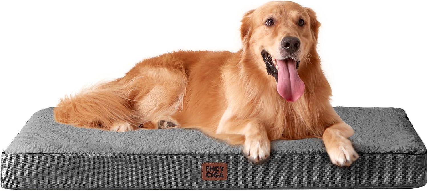 dog bed memory foam