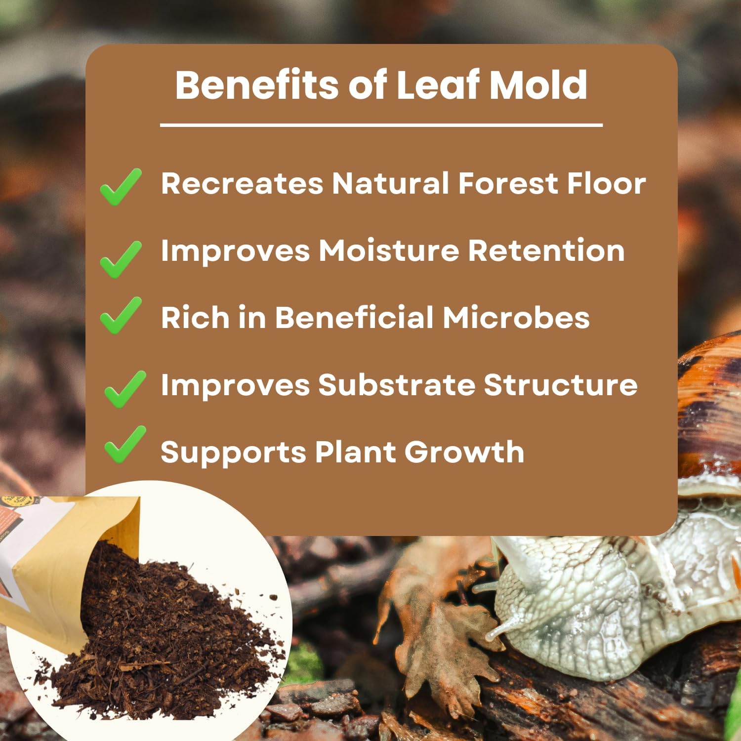 SCOTTY'S BUGS All Natural Leaf Mold for Bioactive Terrariums & Vivariums – Perfect for Isopods, Springtails, Amphibians & Reptiles – 12oz. Pack - Happypetzone.online - Image 4