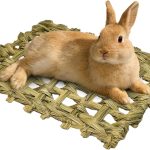 rabbit bedding hay base