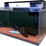 fish tank setup kit