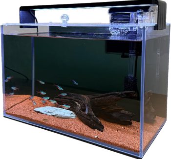 fish tank setup kit