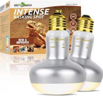 reptile heat lamp