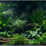 fish tank background decor