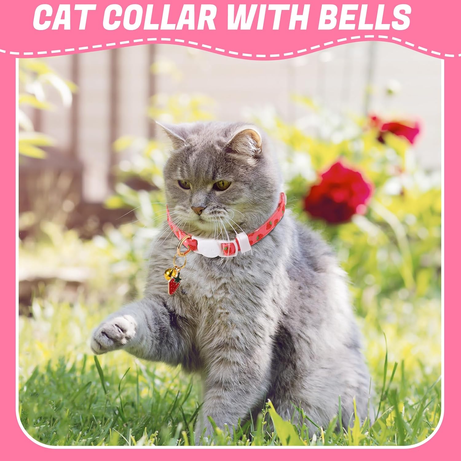 10 Pack Breakaway Cat Collars with Bells Fruit Pendants Adjustable Safety Kitten Collar Fruit Cat Collar with Bell Ideal for Girl Boy Cats - Happypetzone.online - Image 6