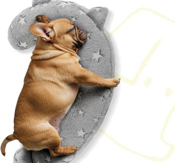 dog wellness products