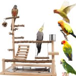 bird cage play top