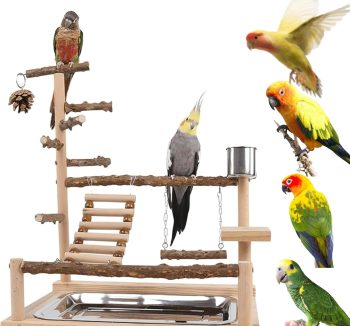 bird cage play top