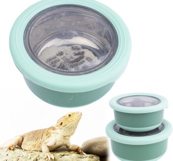 reptile nutrition food