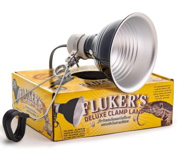 reptile heating lamp