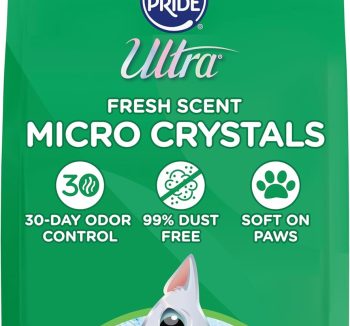 cat litter silica gel