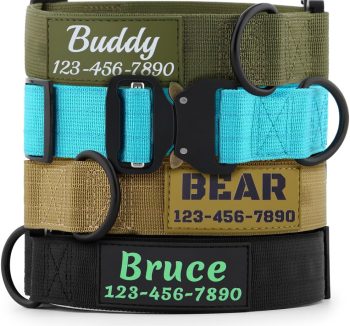 personalized dog collar