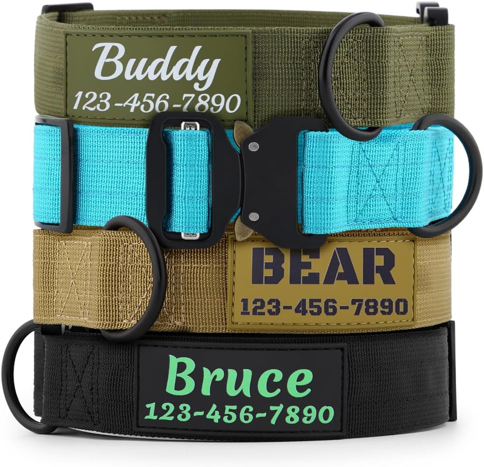 personalized dog collar