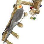 bird ladder perch