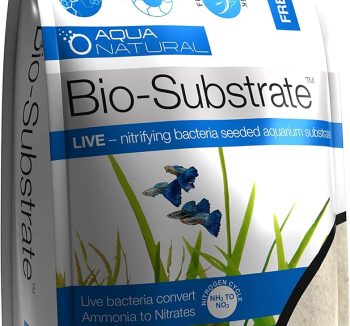 freshwater aquarium tank