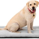 dog bed non slip