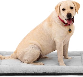 dog bed non slip
