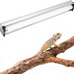 reptile uvb light for bearded dragon