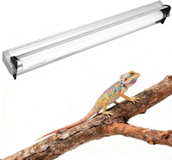 reptile uvb light for bearded dragon