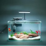 fish tank aquarium