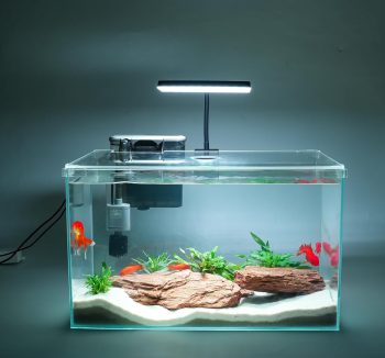 fish tank aquarium