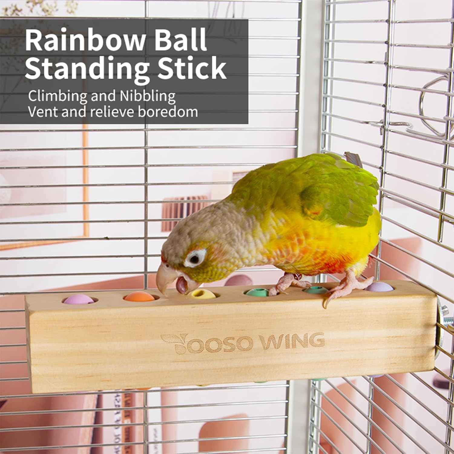 Bird Toys & Bird Perch, Bird Wooden Block Chewing Toy Parrot Foraging & Puzzle Toys Bird Cage Accessories for Conures Parakeets Cockatiels Lovebirds African Grey Macaws (Spinning Ball) - Happypetzone.online - Image 2