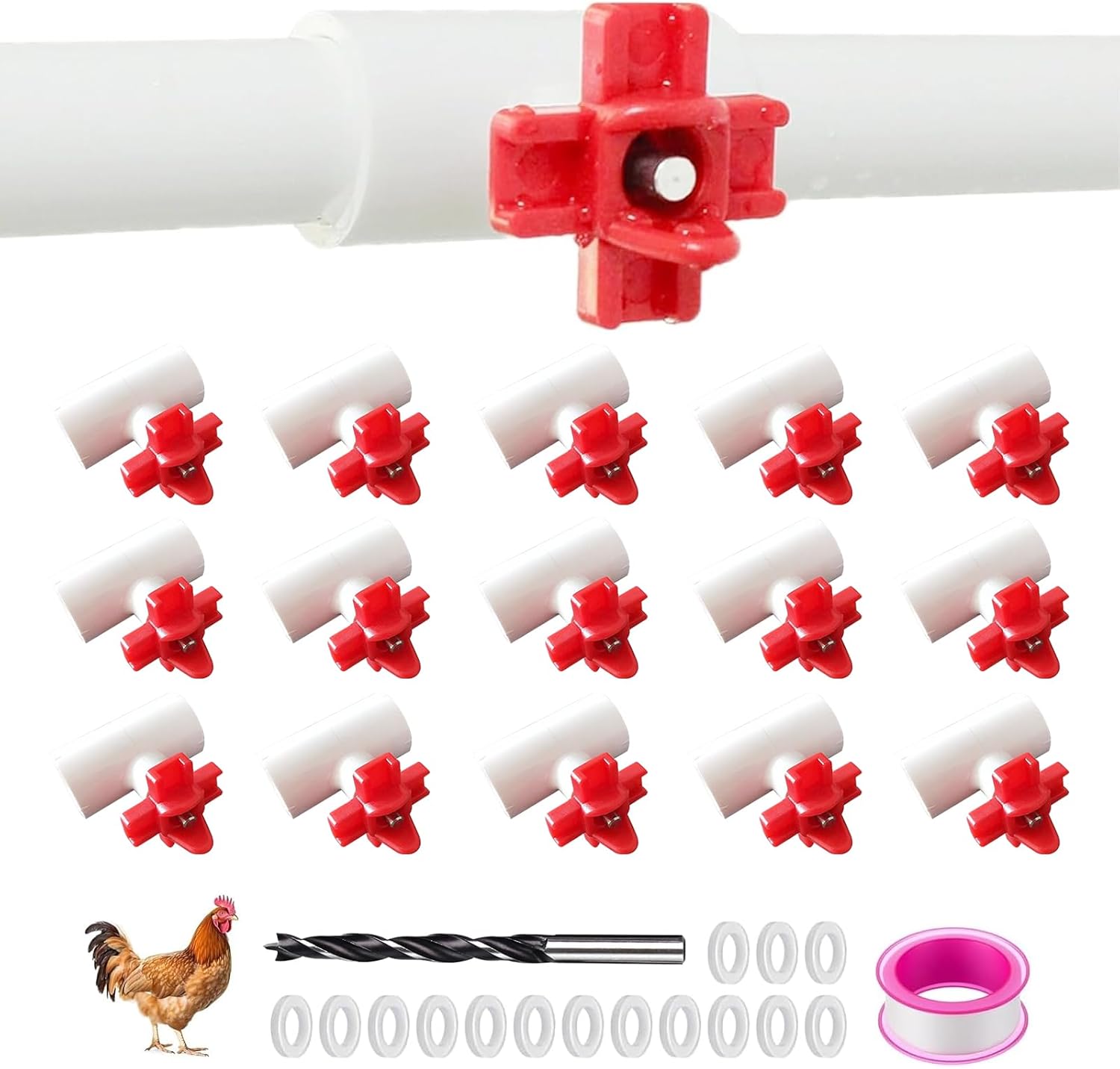 bird health products kit