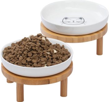 best cat food