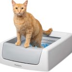self cleaning litter box