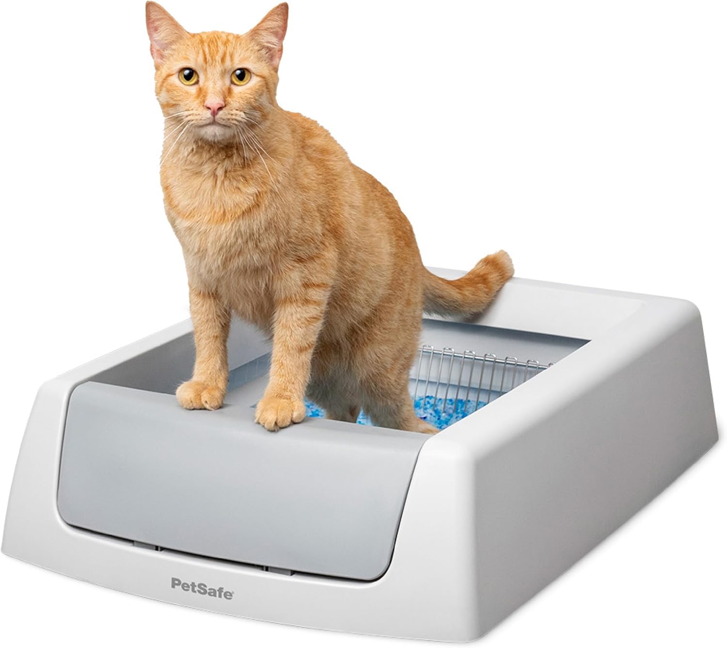 self cleaning litter box