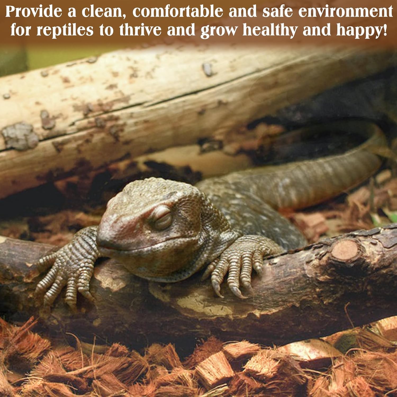 ZeeDix 10LBS Coconut Husk Chip Substrate for Reptiles, 72QT Compressed Organic Coco Coir Chips for Snake Habitat, Reptile Bedding for Ball Python, Tortoises, Geckos, Lizards Terrarium Tanks - Happypetzone.online - Image 7