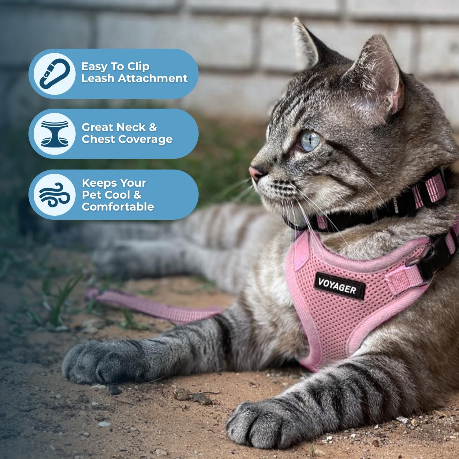 Voyager Escape-Proof Step-in Lock Cat Harness & 5ft Neoprene-Handle Leash Set All-Weather Mesh with Reflective Stitching for Small to Large Cats by Best Pet Supplies, Pink, XXXS - Happypetzone.online - Image 5